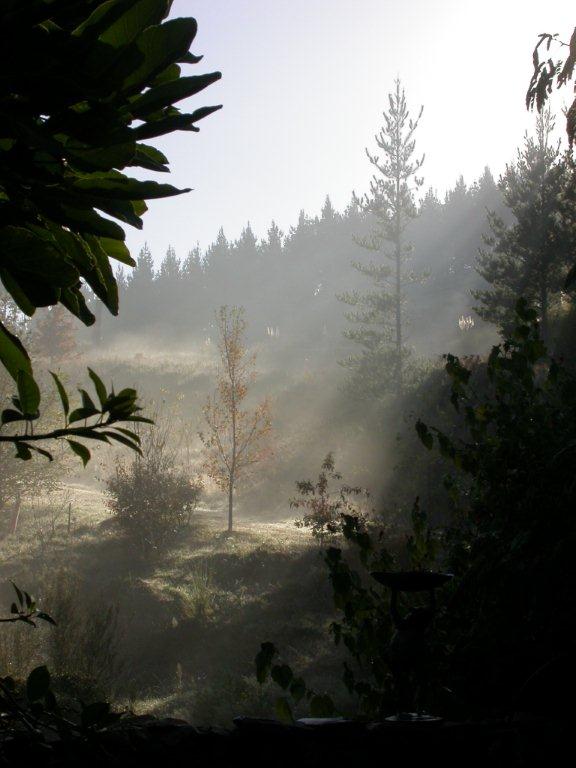 Development of the Waitakaruru Arboretum